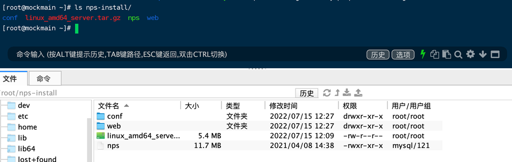 Nps实现内网穿透,电脑免费变云服务器 Nps实现内网穿透,电脑免费变云服务器