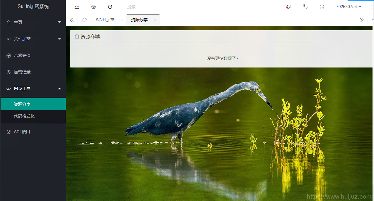 企业级程序 苏林加密系统内测发布 支持多种加密插图5