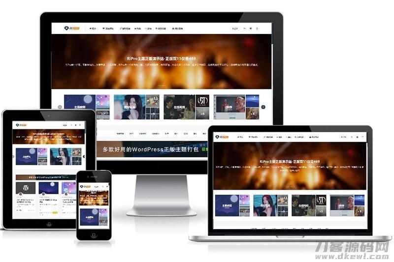 WordPress付费资源下载主题：ripro8.7最新破解版插图1