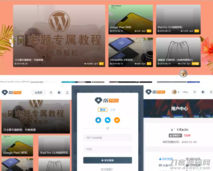 RiPro主题最新解锁去授权无限制版本(更新至8.7）插图1