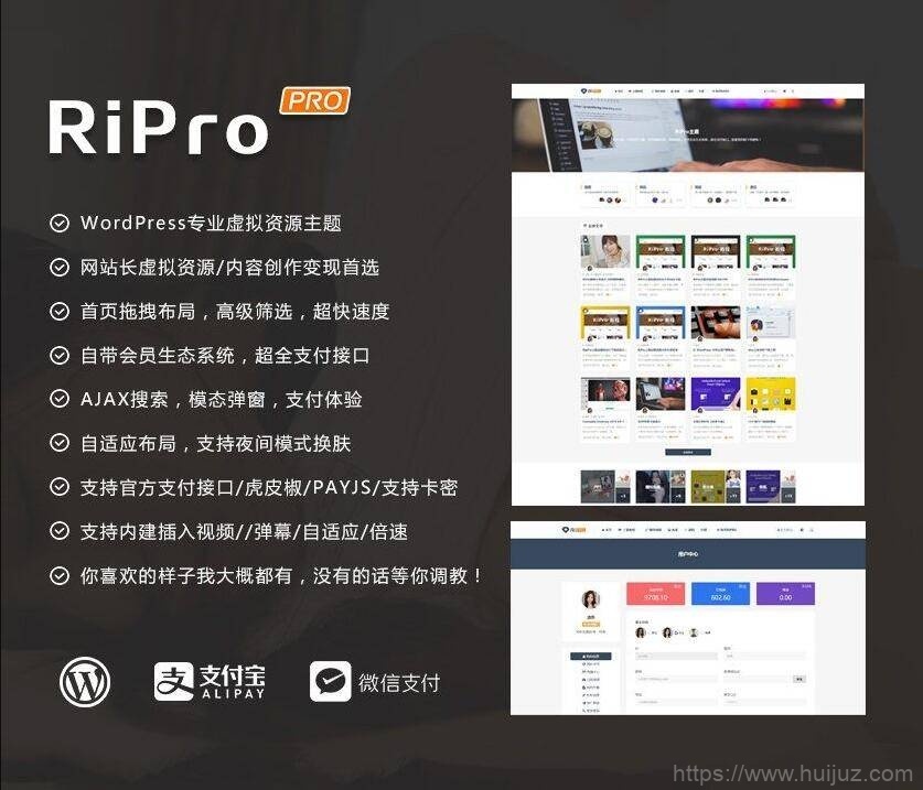 RiPro主题最新解锁去授权无限制版本(更新至8.7）插图5