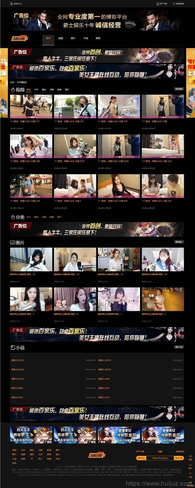 H站网站源码下载_带小说模块和图片自营式插图1