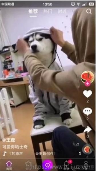 【云豹二开】2021年最新云豹二开完整源码/直播/短视频/带教程/带开发文档插图1
